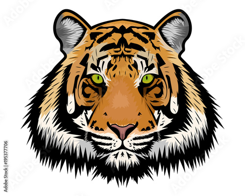 Fototapeta Naklejka Na Ścianę i Meble -  Tiger vector illustration 