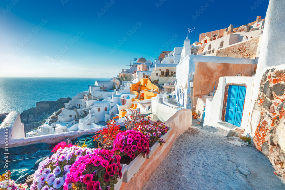 Santorini, Greece. Picturesq view of traditional cycladic Santorini houses on small street with flowers in foreground. Location: Oia village, Santorini, Greece. Vacations background. - obrazy, fototapety, plakaty 