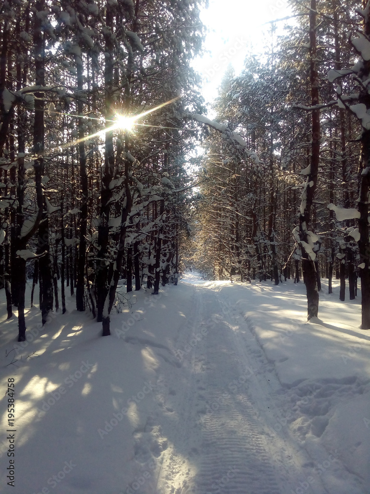 Winter landscape. Winter landscape.