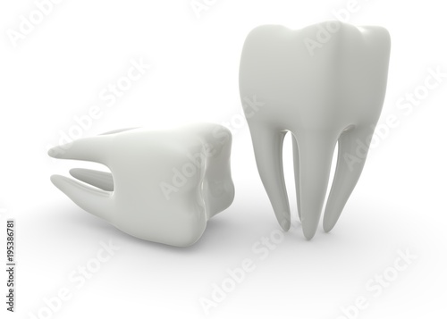 Model of a molar tooth on a white isolated background