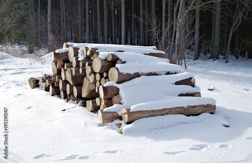 drewno składowane zimą