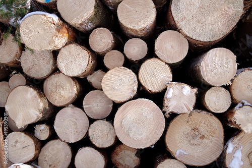 drewno sk  adowane zim  