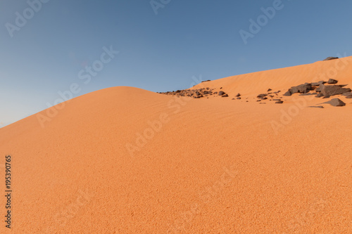 Yellow sand dunes and blue sky in the desert. Negev in Israel. The dunes look like giant waves crossing the sky. 