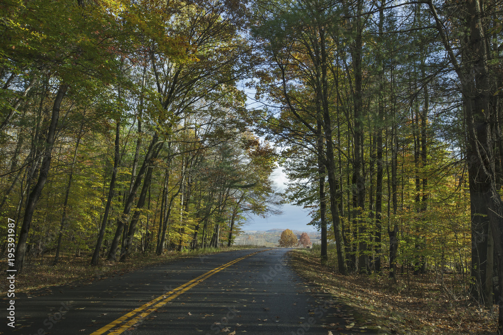 Fototapeta premium Saratoga landscapes