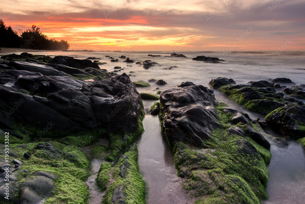 Seascape with rocks covered by green moss during sunset.