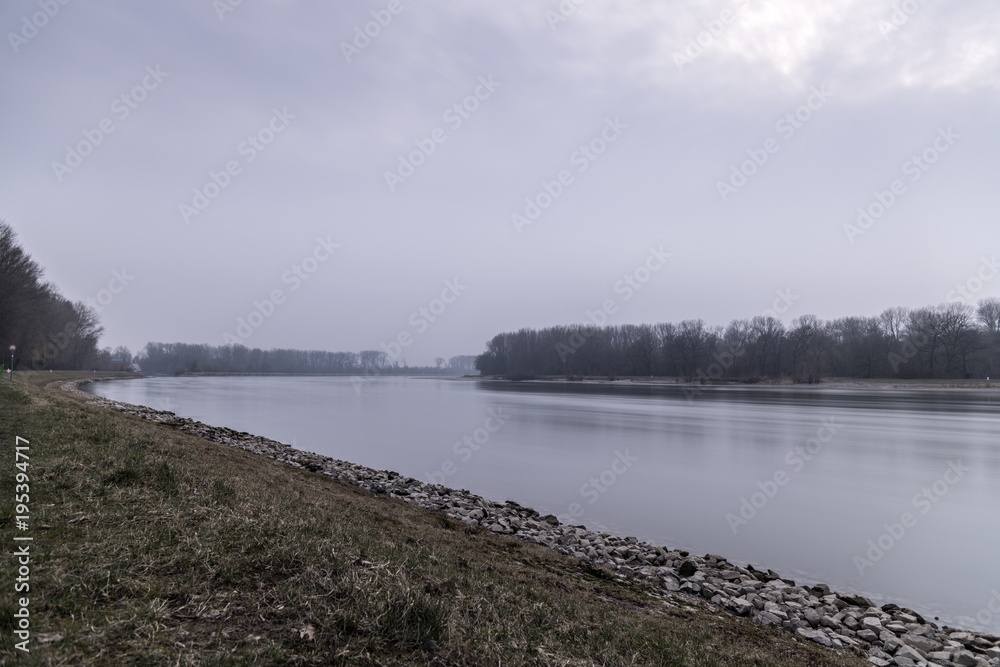 Uferlandschaft am Rhein