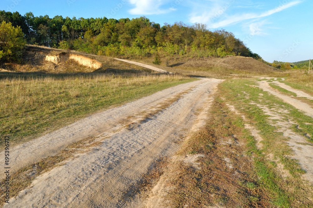 road in field landscape