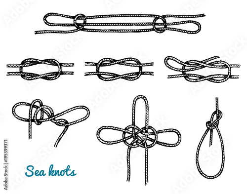 Sea rope knots in different directions for water transport. Marine sketch with ornament. engraved hand drawn, atlantic tidal wave. Tied and twisted nautical cord for Military fleet, ships and yachts.