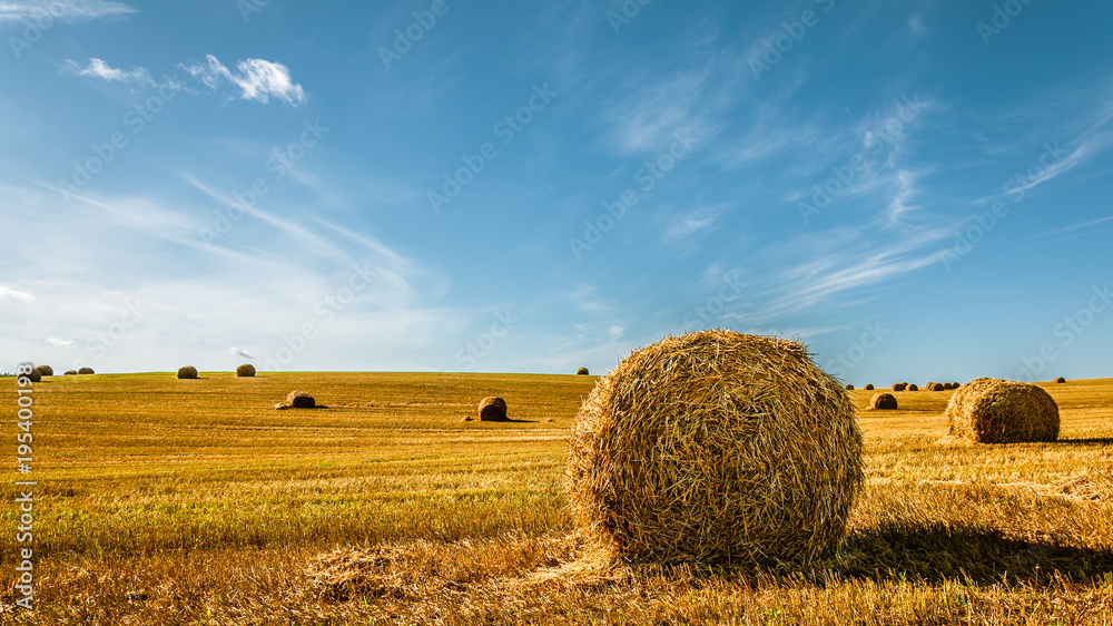 summer agricultural landscape. A bale of golden straw on the field after harvesting under a beautiful blue sky