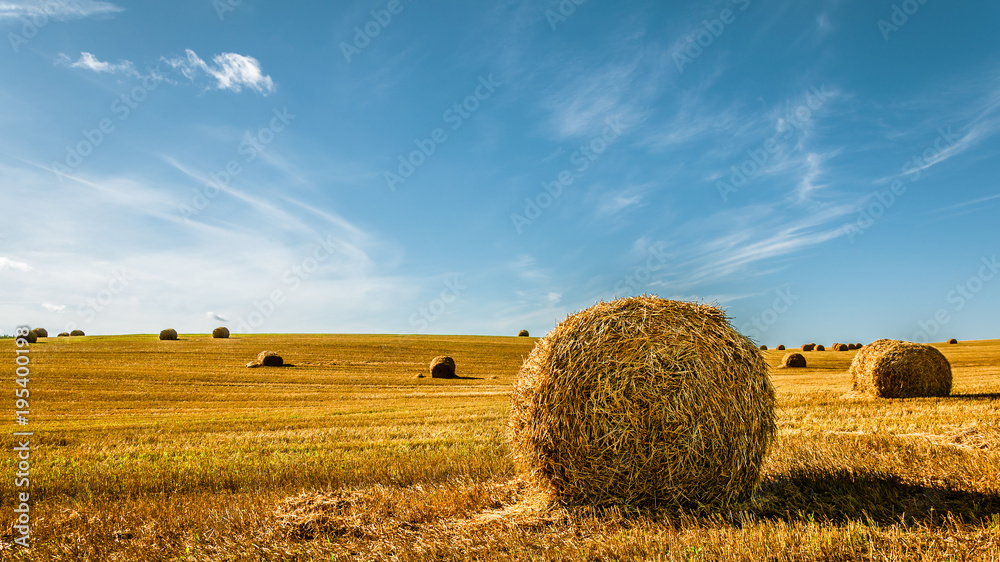 summer agricultural landscape. A bale of golden straw on the field after harvesting under a beautiful blue sky summer agricultural landscape. A bale of golden straw on the field after harvesting under a beautiful blue sky