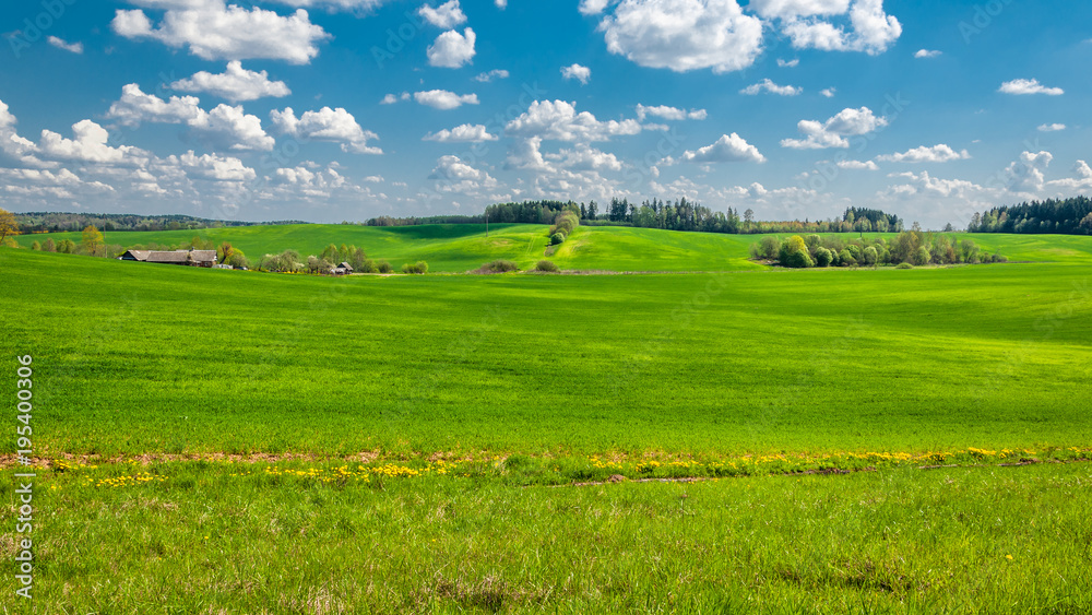 summer rural landscape. agricultural hilly field with a small hamlet, covered with green grass under a blue cloudy sky