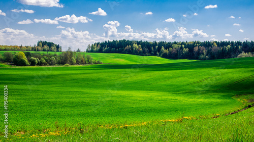 summer agricultural hilly field covered with green grass under a blue cloudy sky