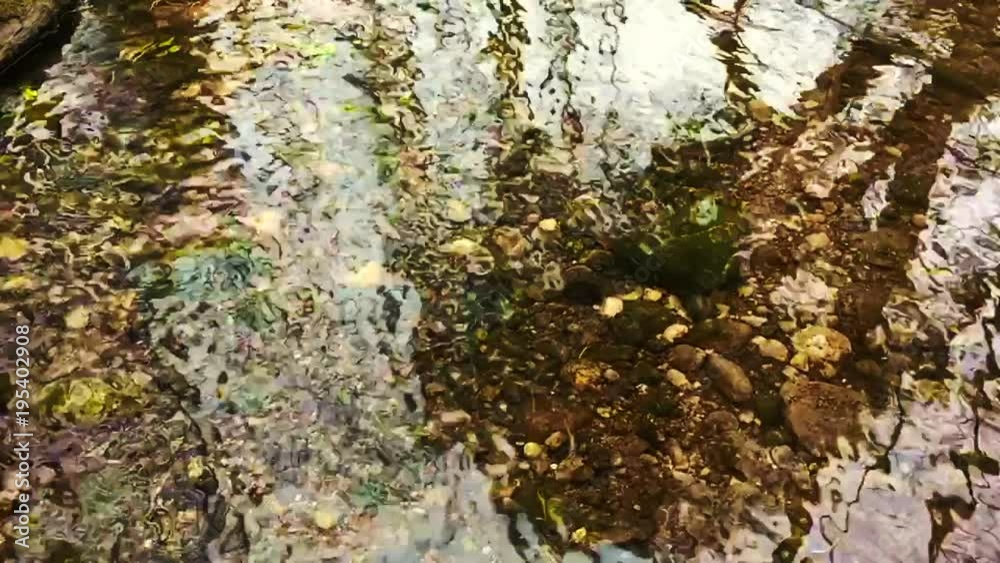 POV of slow rippling water moving in a forest brook POV of slow rippling water moving in a forest brook