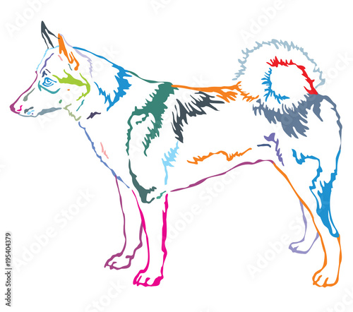 Colorful decorative standing portrait of West Siberian Laika vector illustration