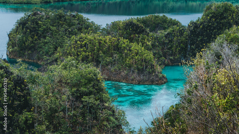 Peanemo Islands with blue lagoon between. Untouched nature. Raja Ampat, West Papua, Indonesia