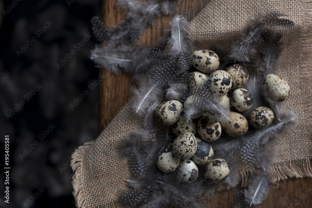 many identical quail eggs. chicken feathers. Photo in a rustic style. Eggs for Easter. Free space for text many identical quail eggs. chicken feathers. Photo in a rustic style. Eggs for Easter. Free space for text