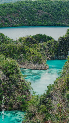 Painemo Island, Blue Lagoon, Raja Ampat, West Papua, Indonesia photo