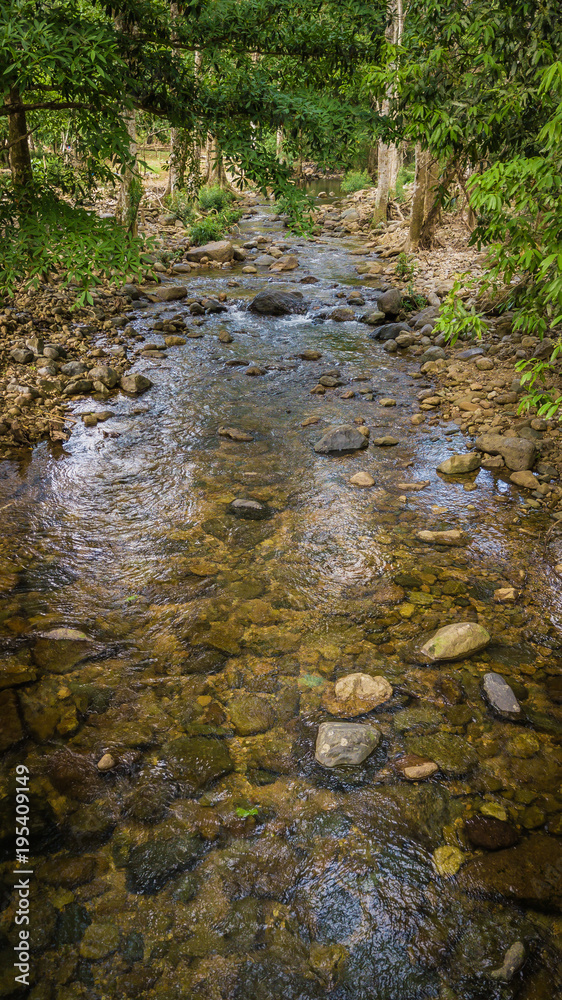 Fototapeta premium Streams in the forest