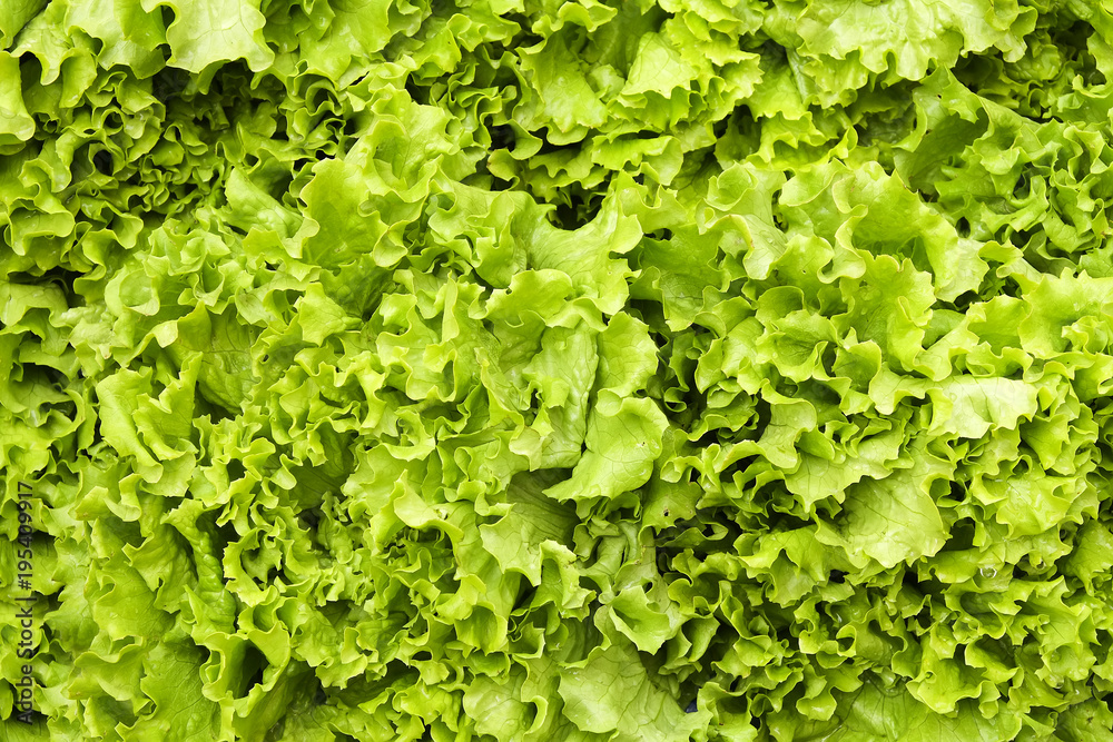 Spring summer detox fruit vegetable diet. Close up of harvest pile. Supermarket stand of clean and shiny vegetables / fruits assortment. Healthy eating concept.