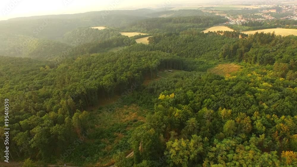 Misty morning over a beautiful green forest in Europe. Misty morning over a beautiful green forest in Europe.