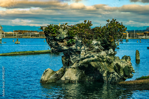 Photography Adrift