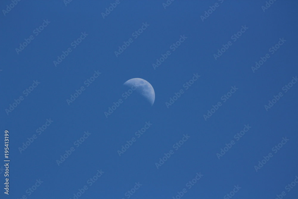 Moon Moon