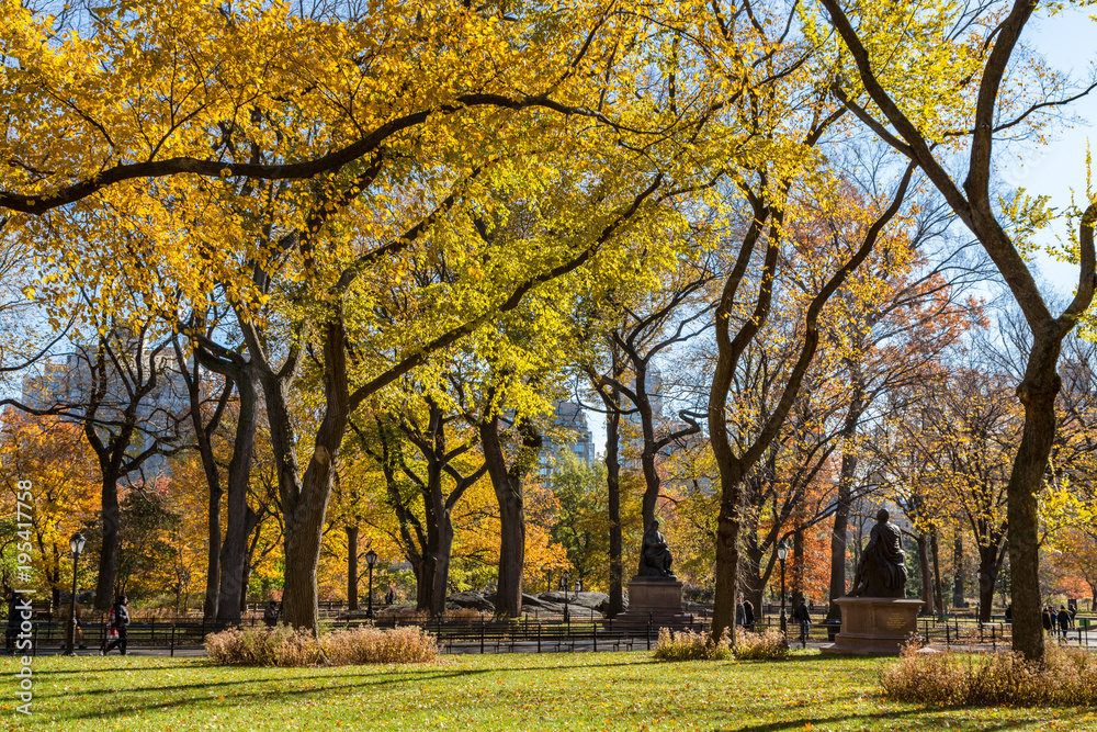 Brilliant Autumn Color in Central Park, New York City