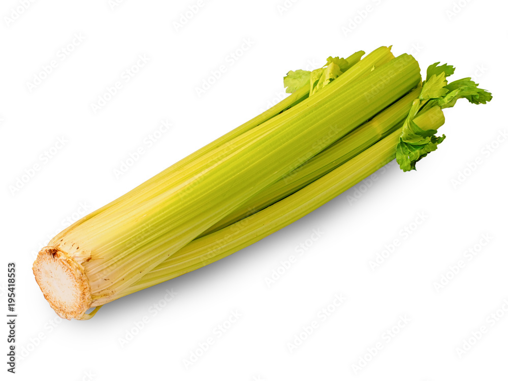 Raw celery sticks isolated on the white background Raw celery sticks isolated on the white background