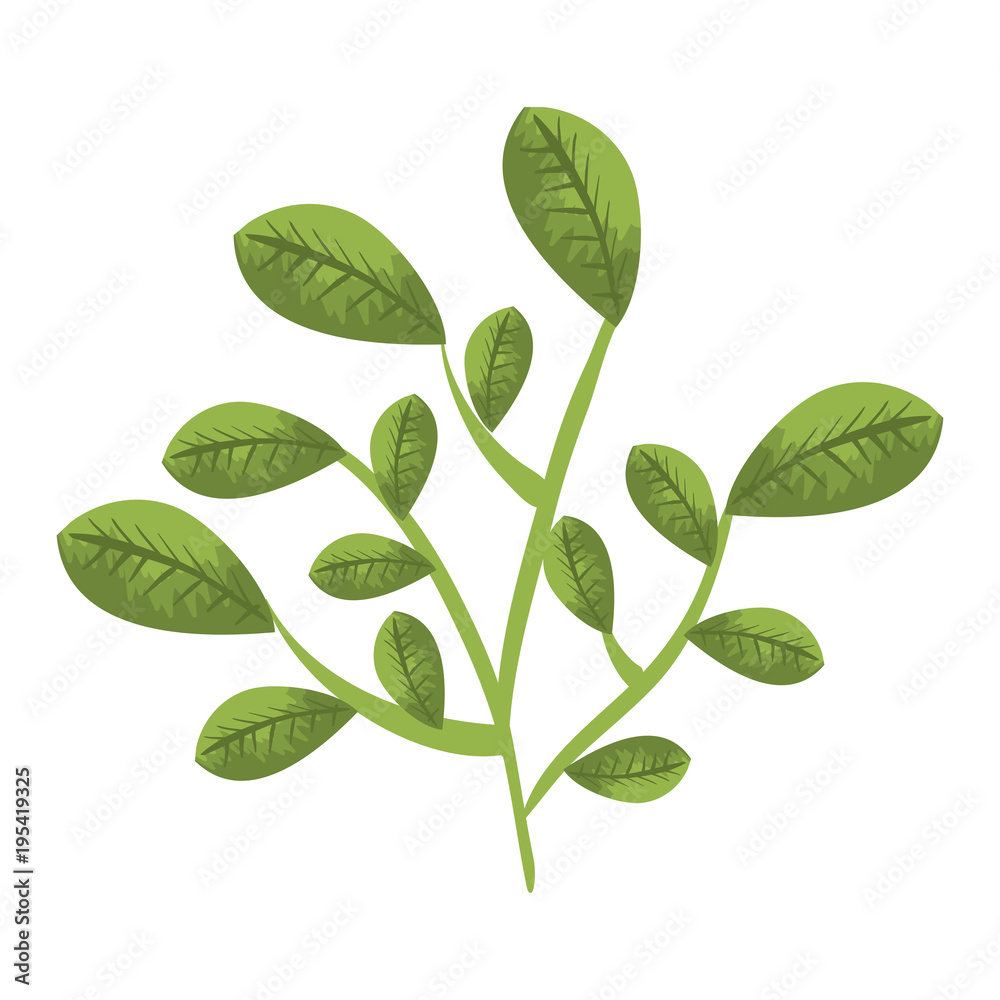 Obraz premium leafs plant natural icon