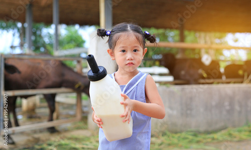 Little farmer girl holding milk bottle in farm. Feeding the murrah buffalo in farm. photo