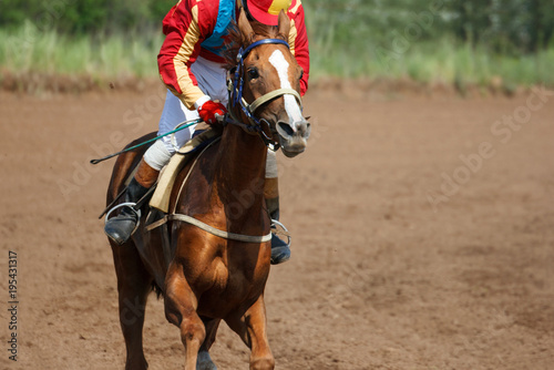 Race horse in run. Running horse with a jockey.