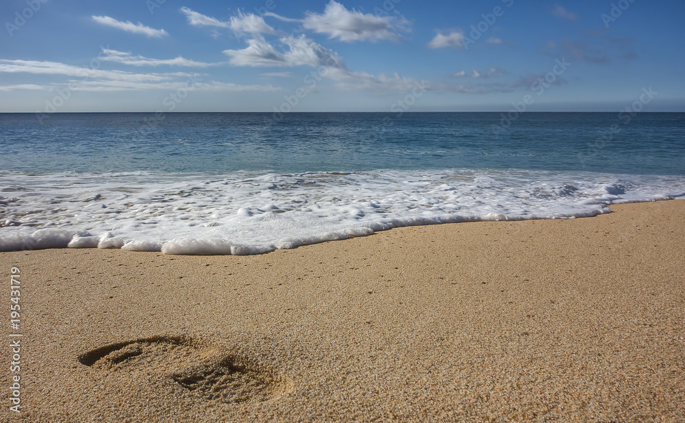 Waves Approach and Threaten to Wash Away a Lone Footprint on the Sandy Divorce Beach of Cabo San Lucas Waves Approach and Threaten to Wash Away a Lone Footprint on the Sandy Divorce Beach of Cabo San Lucas