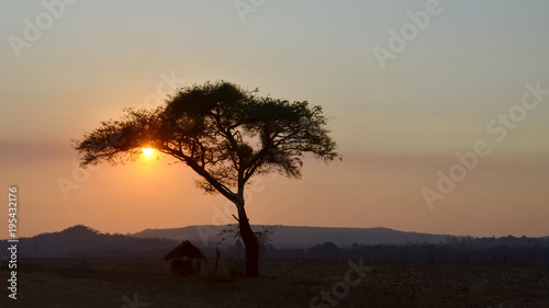 The sun sets behind a lone acacia tree, next to an African hut, in Zimbabwe © Sue