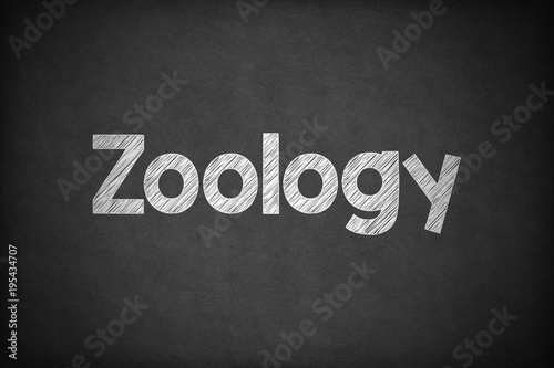 Zoology on Textured Blackboard.