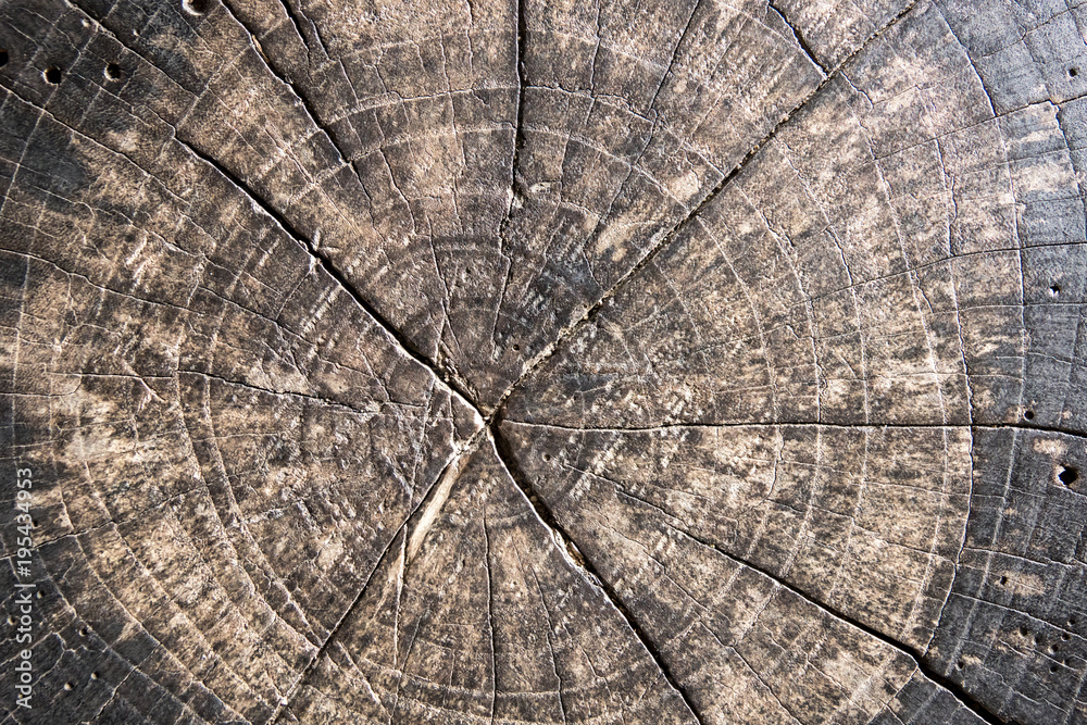 Fototapeta premium Old Wooden texture or background