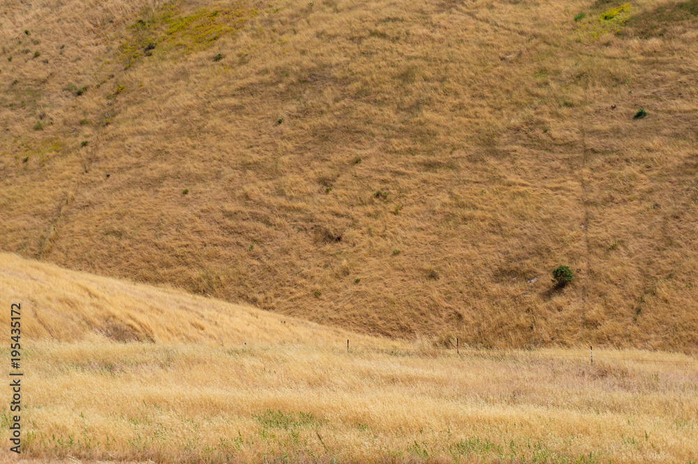 Yellow dry grass on hill face background Yellow dry grass on hill face background