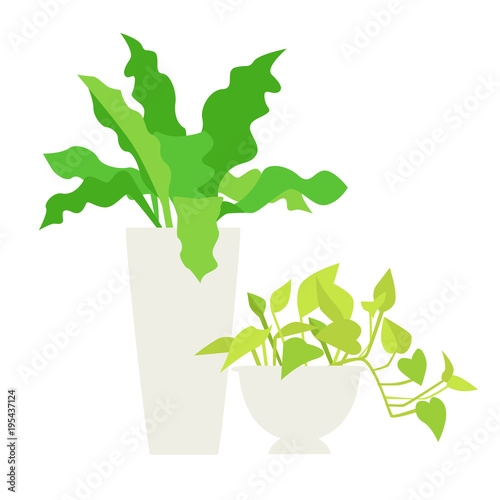 観葉植物のイラスト。