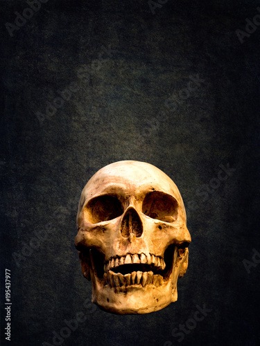Humen skull on abstract dark background isolated with clipping path