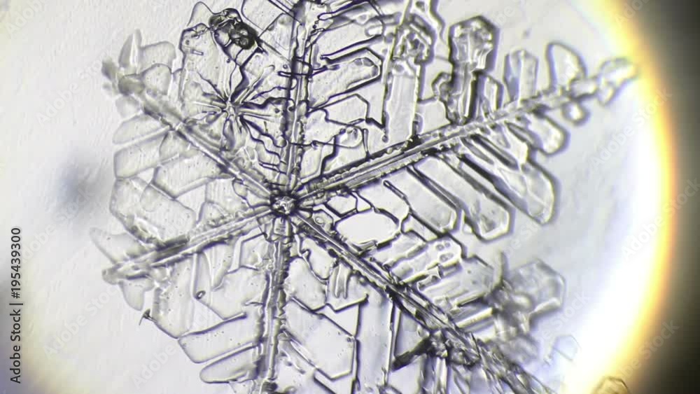 a snowflake under a microscope