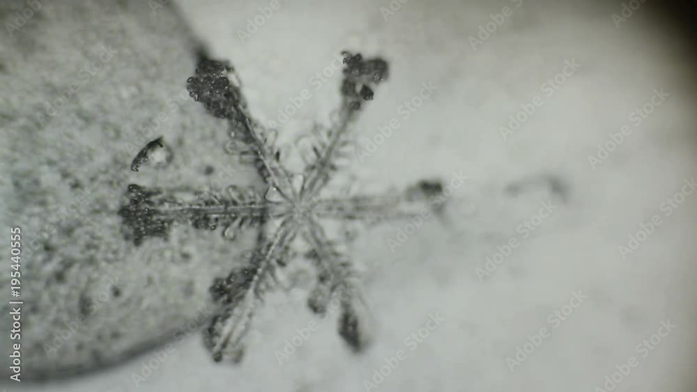 formed under the microscope snowflake
