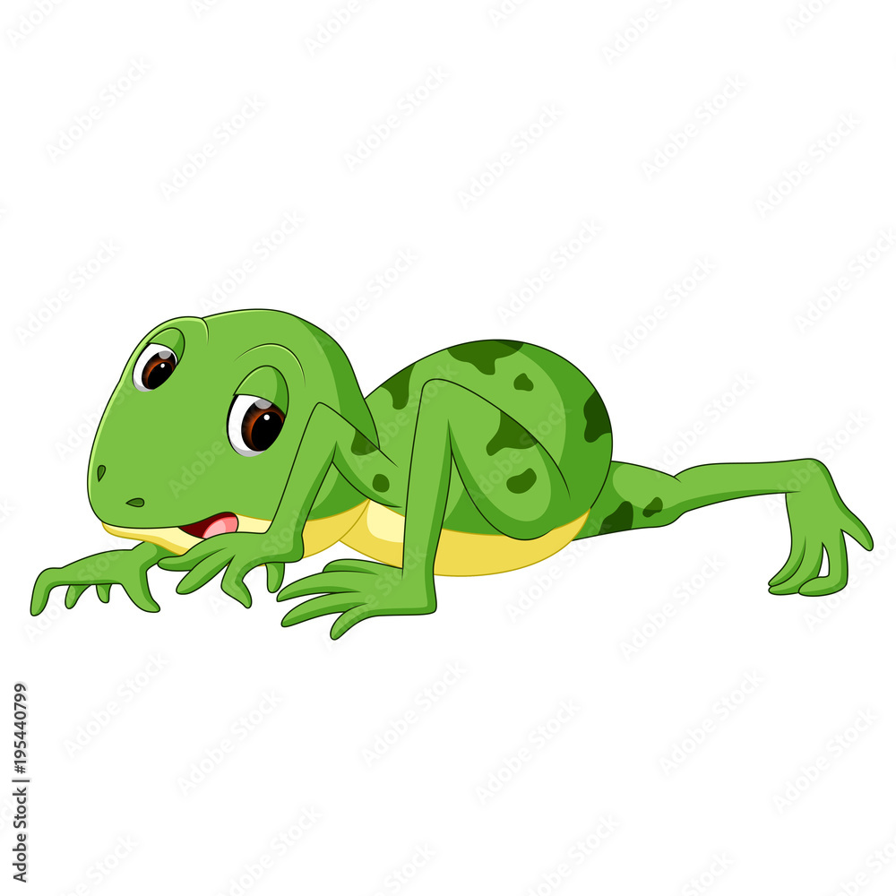 Fototapeta premium cute frog cartoon