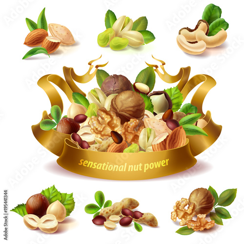 Vector set of different nuts, hazelnuts, peanuts, almond, pistachio, walnuts, cashew, whole kernels, halves, isolated on background. Mix of peeled nuts with golden ribbon for label, package design