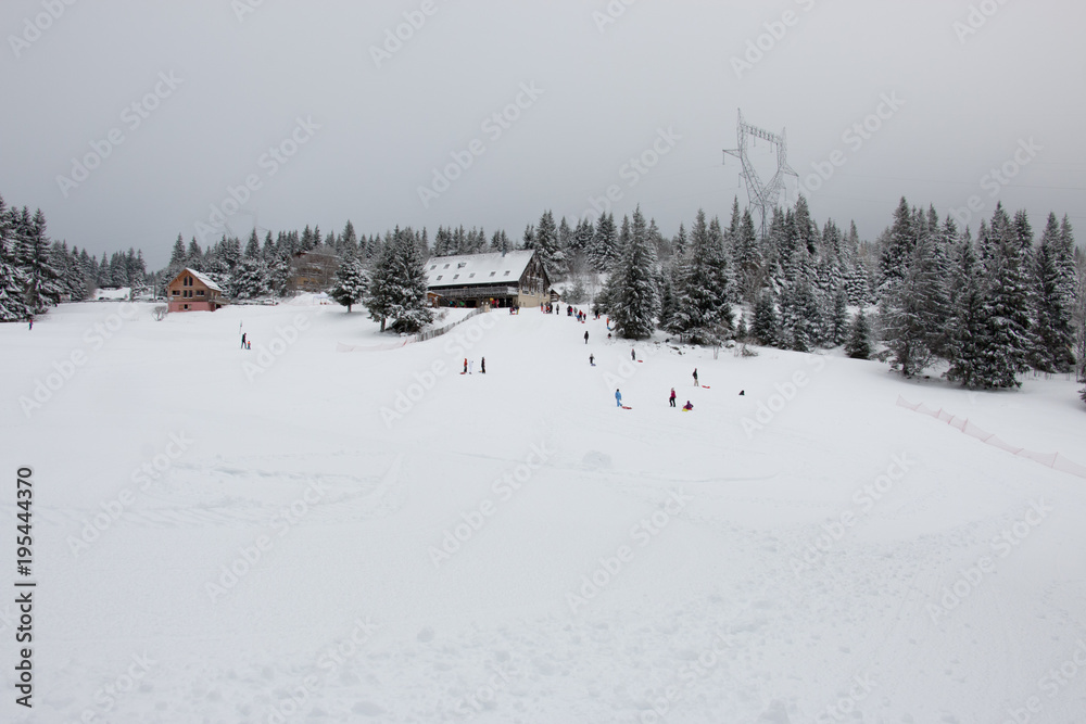 Ski resort winter sports sledding