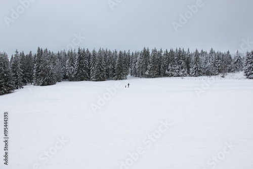 Ski resort winter sports sledding