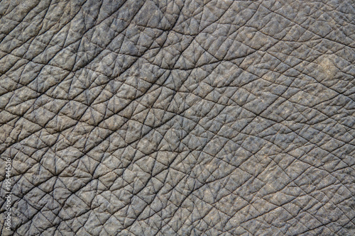 Elephant skin texture or background