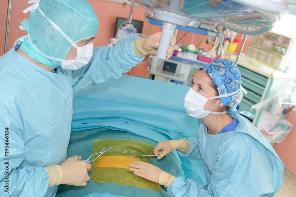 two veterinarian surgeons in operating room two veterinarian surgeons in operating room