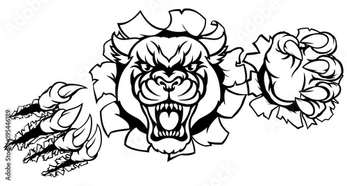 Black Panther Tiger Background Breakthrough