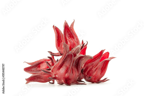 red roselle isolated