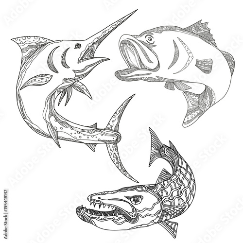 A collection of doodle art illustrations that includes the following, blue marlin, asian sea bass or barramundi and barracuda in black and white mandala style.