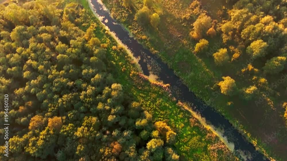 Aerial View. Flying over the beautiful River and beautiful forest. Aerial View. Flying over the beautiful River and beautiful forest.